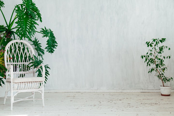 white chair with home plants in the white room - obrazy, fototapety, plakaty