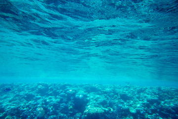 Fototapeta na wymiar Underwater view of the sea surface