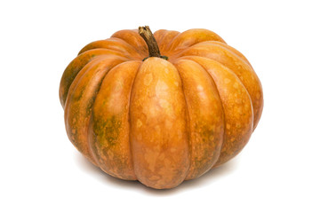 Single fresh orange pumpkin isolated on white background. Pumpkin isolated on a white background