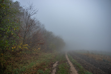 Fototapeta na wymiar Misty gloomy autumn morning in the field