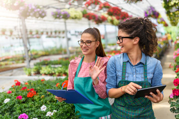 Young women working in beautiful garden center. Women enterpreneurs in team work.
