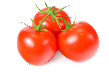 branch of fresh tomatoes isolated on white background
