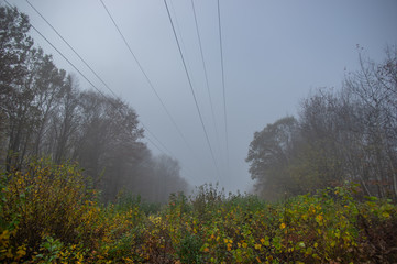Power line on a foggy autumn morning