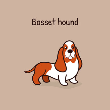 Basset hound cartoon character. Cute character for children. Vector illustration in cartoon style for poster, postcard. 