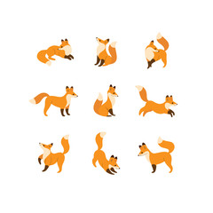 Cartoon animal icon set. Different poses of fox. Good illustration for prints, clothing, packaging, stickers.