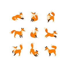 Cartoon animal icon set. Different poses of fox. Vector illustration for prints, clothing, packaging, stickers.