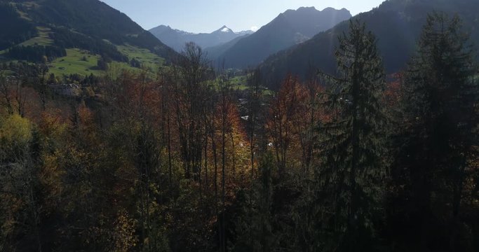 Gstaad appearing behind trees - Aerial 4K