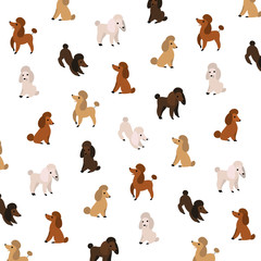 Fototapeta premium Cartoon happy poodle - simple trendy pattern with dogs in various poses. Flat vector illustration for prints, clothing, packaging and postcards.