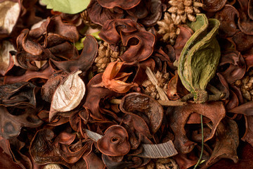 close photo dried flavored seeds