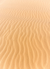 White sand dunes in mui ne ,Vietnam