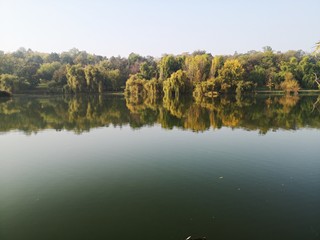 Reflection of trees in the lake during fall season 