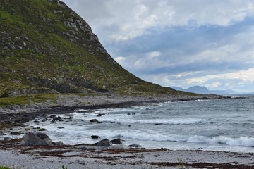 Norway Sea - Nordic Nature