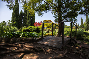Wooden bridge in a park between large roots of trees
