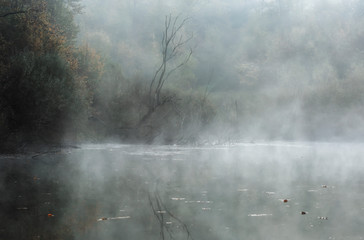 autumn landscape with morning fog on the lake