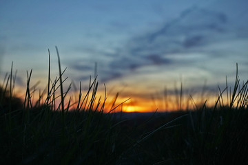Fototapeta na wymiar Blick auf de Sonnenuntergang durch Gras