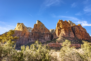 Fototapeta premium Zion National Park , Utah USA.