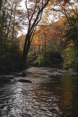 Western North Carolina River