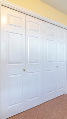 Vertical Closed white painted doors of a fitted wardrobe
