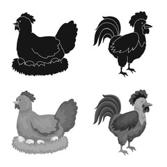 Vector illustration of breeding and kitchen symbol. Set of breeding and organic stock symbol for web.