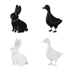 Vector illustration of breeding and kitchen sign. Collection of breeding and organic stock symbol for web.