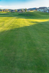Golf course with sunlit fairway bunkers and putting green on a sunny day