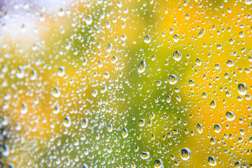 Rain drops on autumn window after a heavy rain. Sunny day