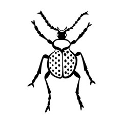 Hand drawn vector beetles. Black and white insects for design, icons, logo or print. Drawn with dots. Great illustration for Halloween.