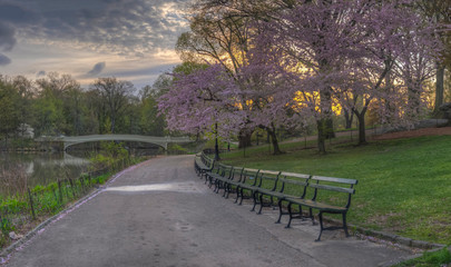 Bow bridge