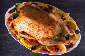 Whole roasted duck with oranges, berries and herbs. View from above, top view