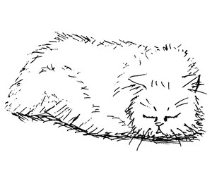 Black and white ink sketch of a Persian breed cat sleeping peacefully vector illustration