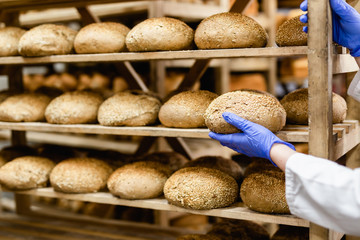 Female worker working in bakery. She puts bread on shelf.