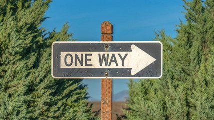 Panorama frame Close up of a One Way road sign against tree leaves and blue sky on a sunny day