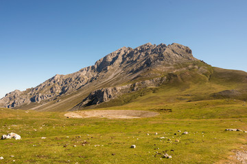Fototapeta na wymiar los picos de europa national park