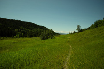 Obraz premium Trail to the mountains