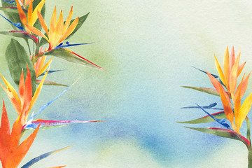 watercolor background with bird of paradise flowers - 299213423
