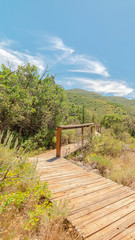 Fototapeta na wymiar Vertical Wooden walkway with handrails in the forest with view of mountain and blue sky