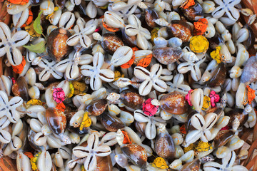 Background of seashells souvenirs for sale