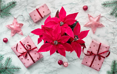 Christmas flat lay with frame made from vibrant fuchsia colored poinsettia, wrapped gift boxes,...