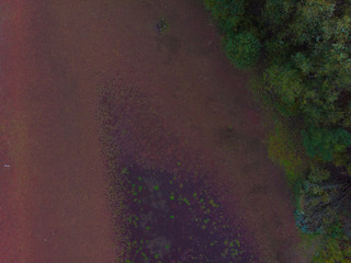 river beach shore texture, top view, for design, with drone