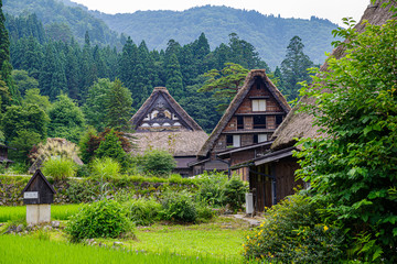 木々に囲まれた田舎