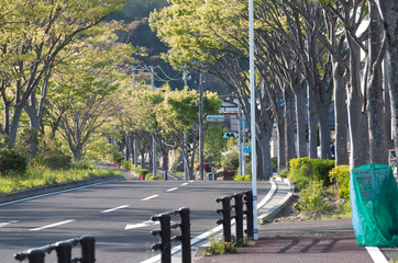 街路樹のある通り