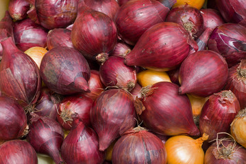 Onion 28