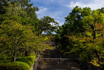 Fototapeta premium beautiful japanese autum nature