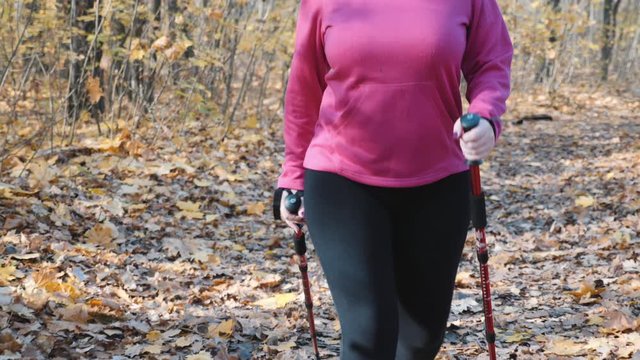 Nordic walking. Recreational activity with nordic walking poles by chubby woman in autumn red and yellow park