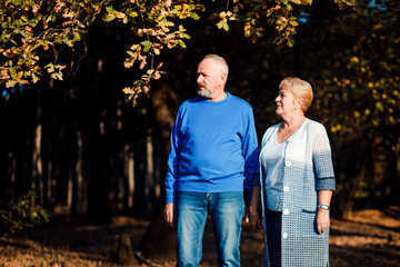 Naklejka premium Pensioners walk in the park. Happy old age.