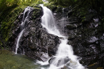 Obraz premium 山間の小滝