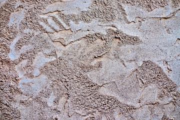 Rough concrete and sand plaster surface, empty space for banner, slogan or text.