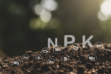 The fertile loamy soil for planting with the iconic technology in soil is the essential food of...
