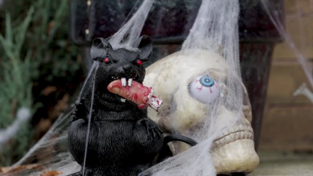 Halloween background of rat eating human finger. Scary haunted house with spider webs human skull and rat. Trick or treat Halloween concept close up.