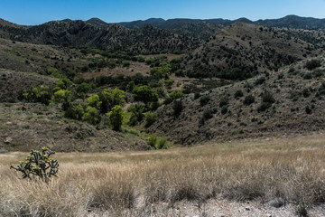 Bill Evans Lake, New Mexico Scenic View.